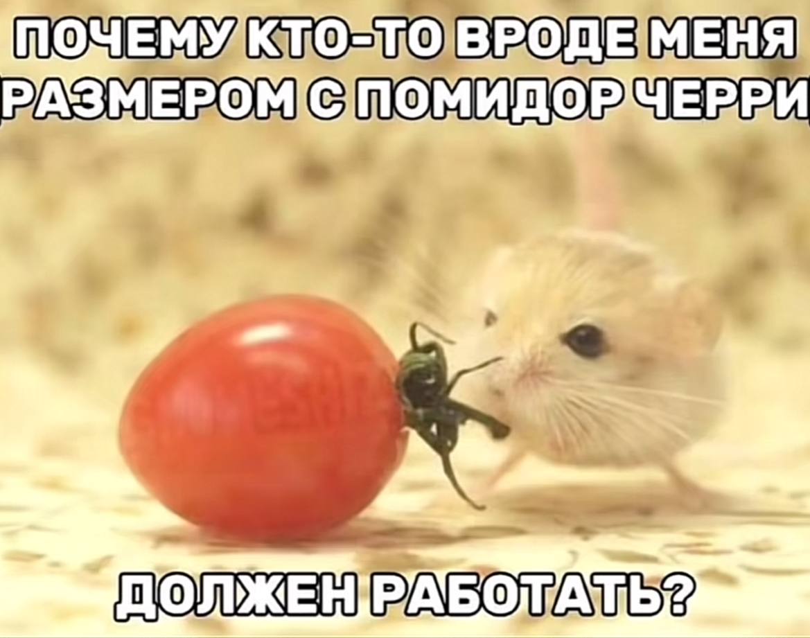 ЕРРИ