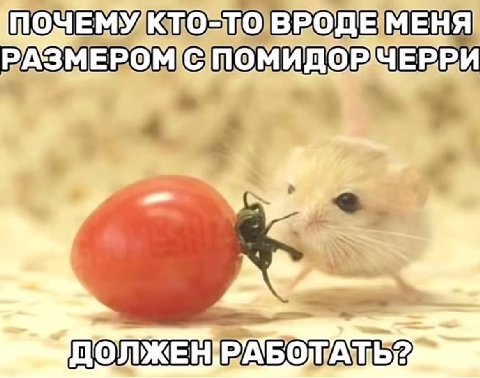 ЕРРИ