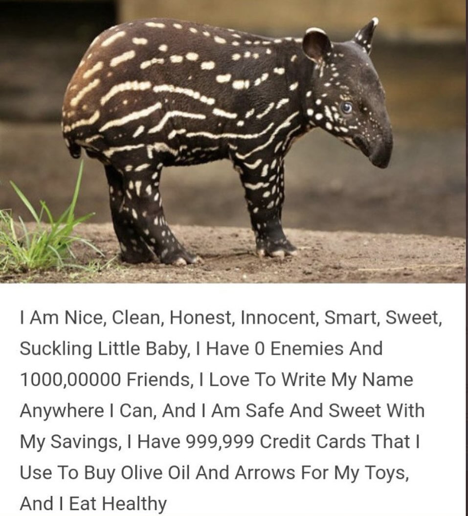 4 a” 2 у Nice, Clean, Honest, Innocent, Smart, Sweet, Suckling Little Baby, Have 0 Enemies And 1000,00000 Friends, Love To Write My Name Anywhere Can, And Safe And Sweet With My Savings, Have 999,999 