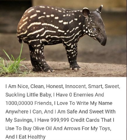 4 a” 2 у Nice, Clean, Honest, Innocent, Smart, Sweet, Suckling Little Baby, Have 0 Enemies And 1000,00000 Friends, Love To Write My Name Anywhere Can, And Safe And Sweet With My Savings, Have 999,999 