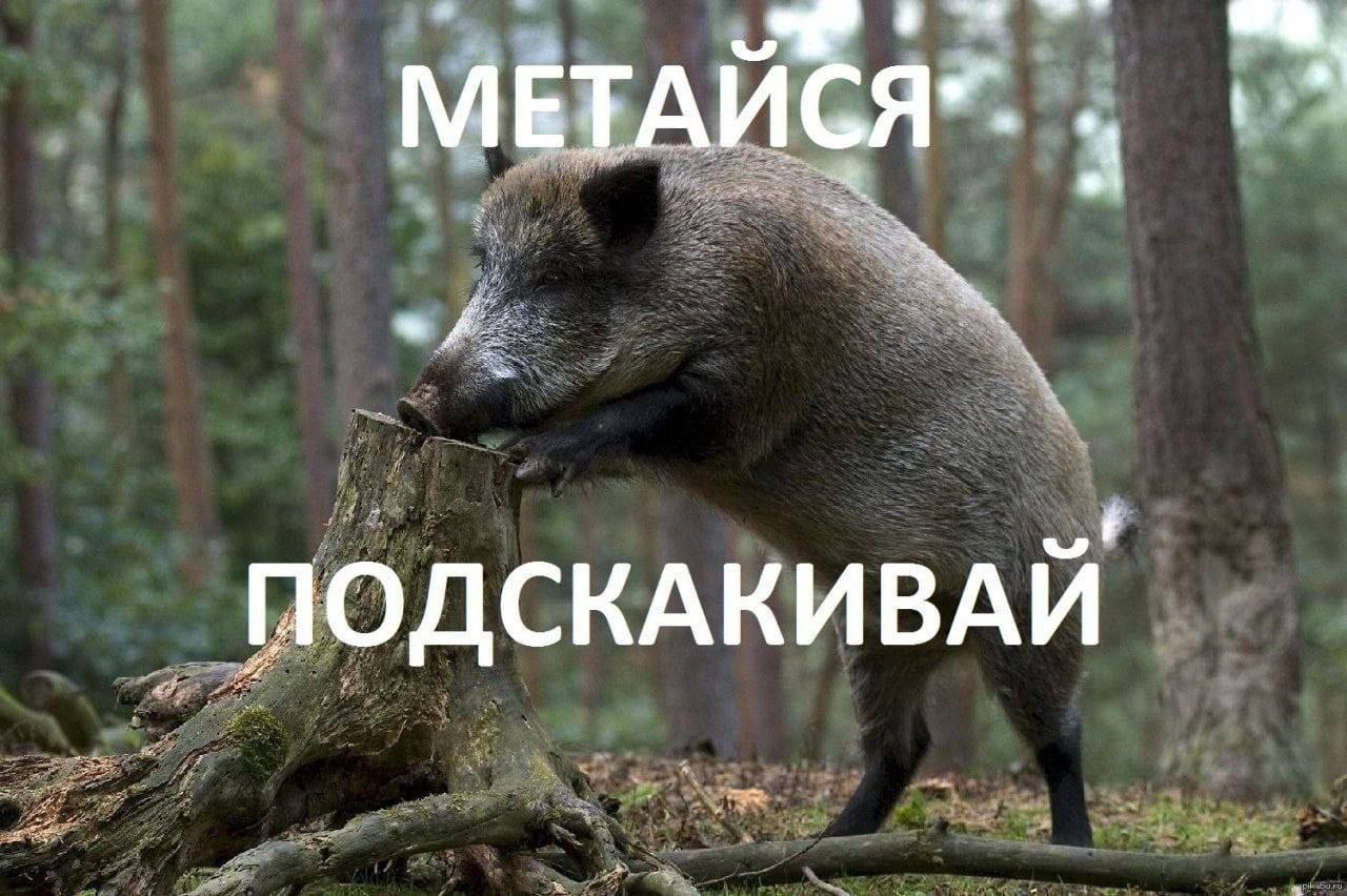 ПОДСКАКИВАЙ