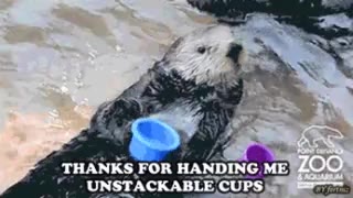 THANKS, РОВ HANDING ME) OC