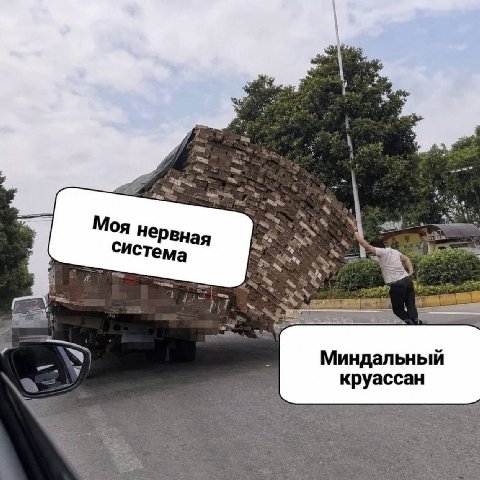 Моя нервна Сис тема 4 Миндальный круассан