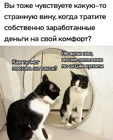 Вы тоже чувствуете какую-то странную вину, когда тратите собственно заработанные деньги на свой комфорт? пельмени поакцийкупили