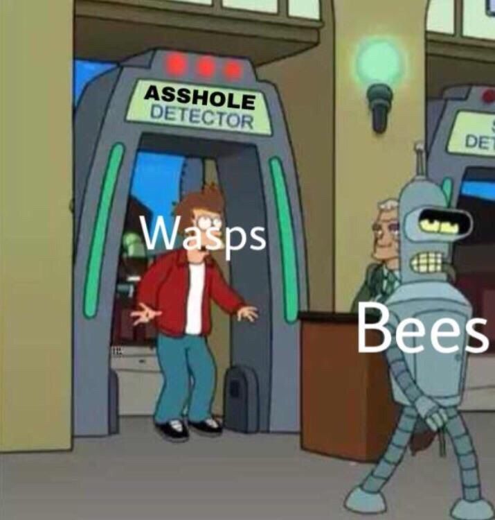 Bees