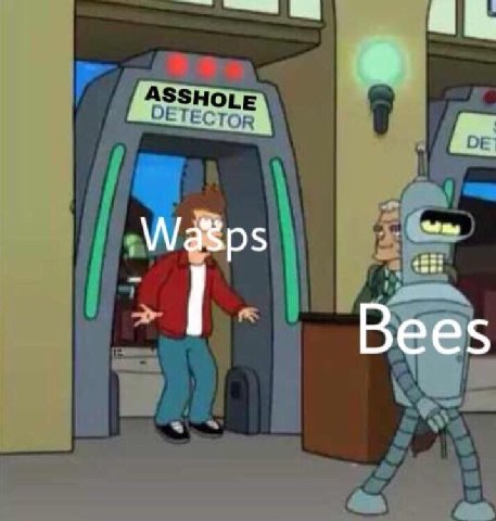 Bees