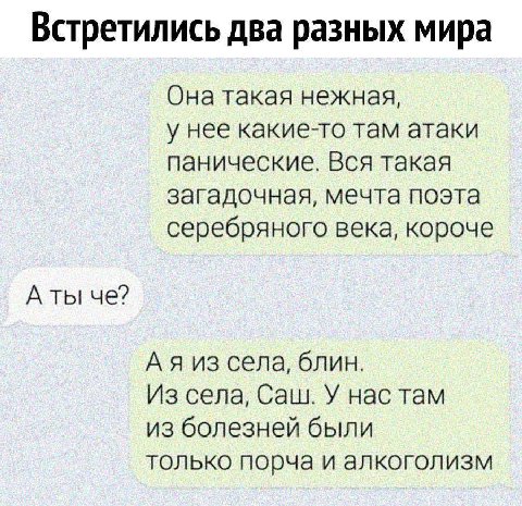 Встретились два разных мира Она такая нежная, у нее какие-то там атаки панические. Вся такая загадочная, мечта поэта серебряного века, короче А ты че? из села, блин. Из села, Саш. У нас там из болезне
