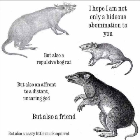 Горе Iam not only a hideous abomination to you But alsoa repulsive bog rat But also an affront uncaring god But also a friend But also а nasty little muck squirrel