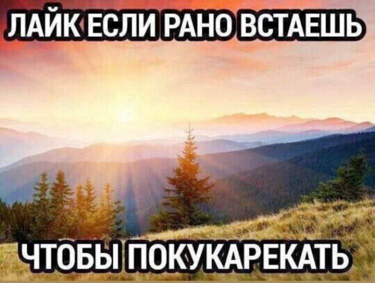 РАНО ВСТАЕШЬ &ЧТОБЫ