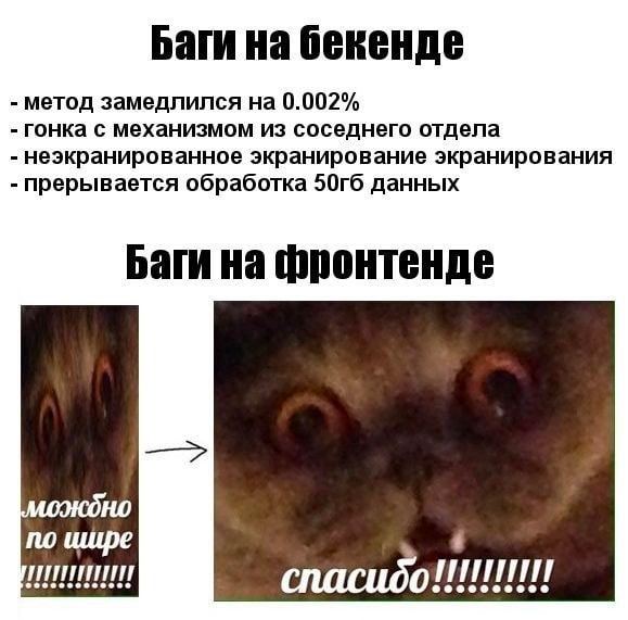 Баги на бекенде метод замедлился на 0.002% гонка с механизмом из соседнего отдела неэкранированное экранирование экранирования прерывается обработка данных Баги на фронтенде no спасидоиииии