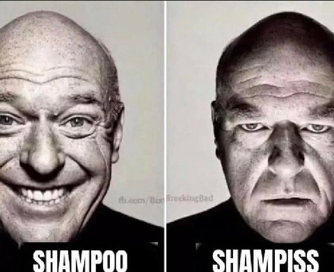 SHAMPISS
