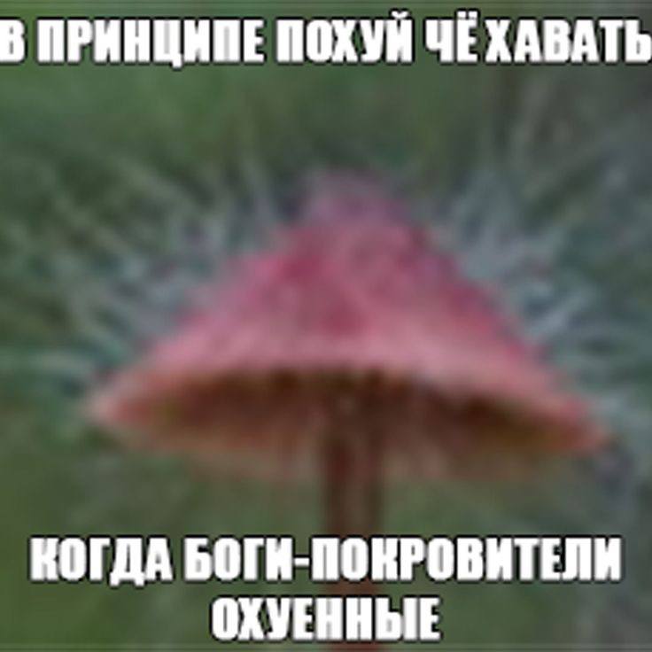 В ПРИНЦИПЕ ПОХУН ЧЕХАВАТЬ КОГДА БОГИ-ПОКРОВИТЕЛИ ОХУЕННЫЕ