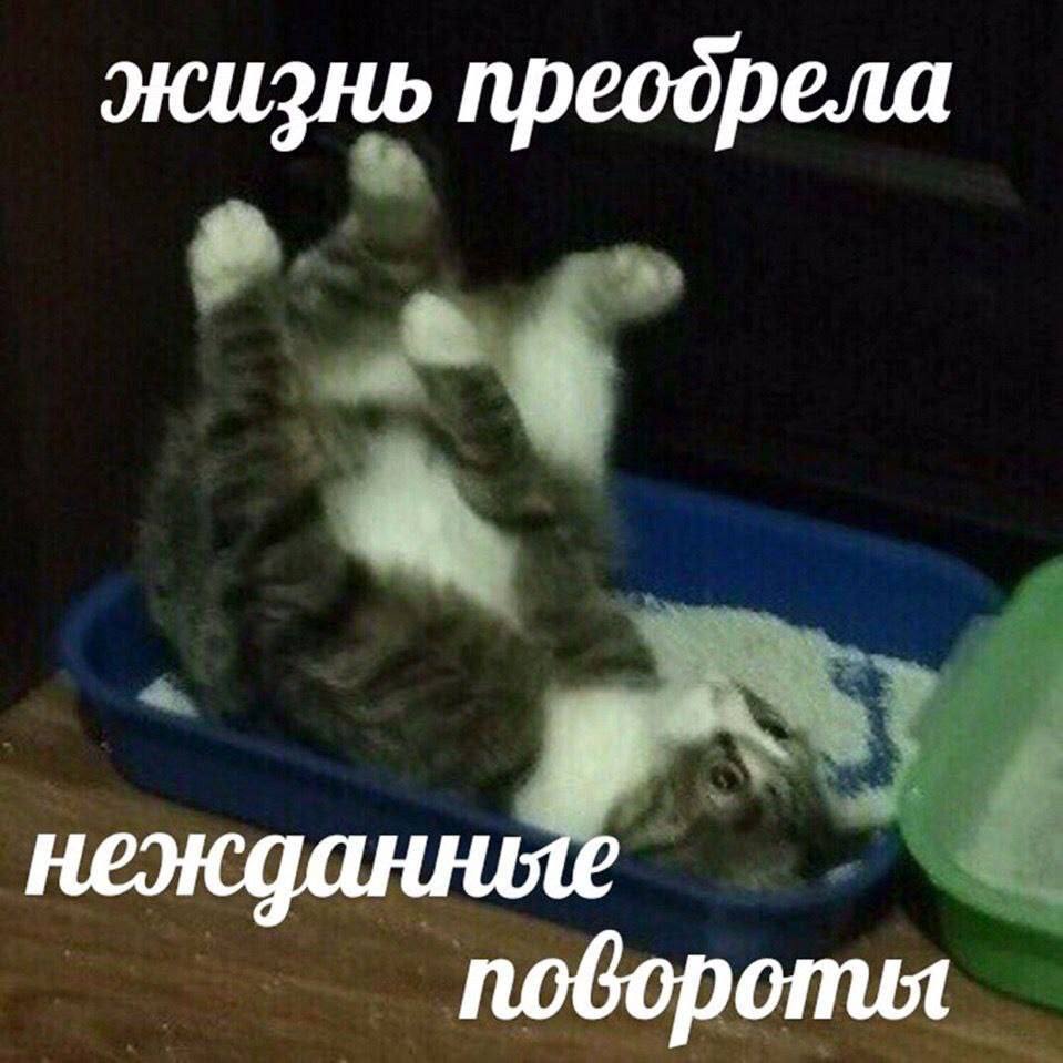 жизнь преодрела нежданные поворопия