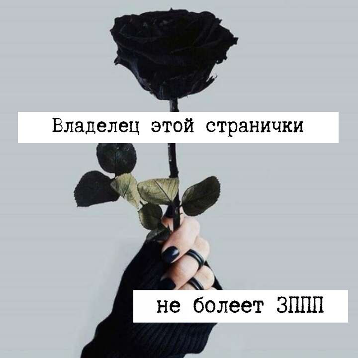 Владелец этой странички не болеет ЗШШ