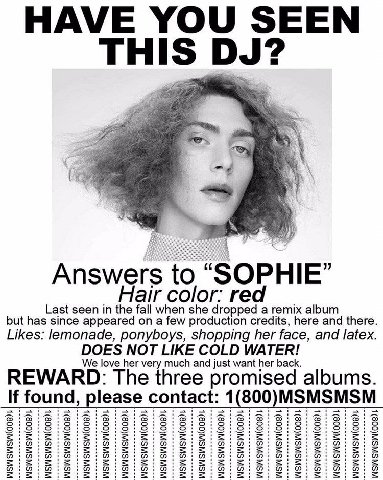 THIS а a Answers to “SOPHIE” Haircolor: red Last seen in the fall when she dropped a remix album but has since appeared on a few production credits, here and there. Likes: lemonade, ponyboys, shopping