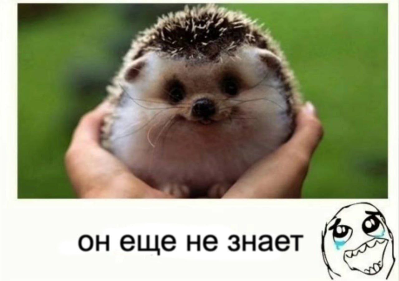 еще не знает