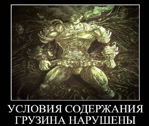 УСЛОВИЯ СОДЕРЖАНИЯ ГРУЗИНА НАРУШЕНЫ