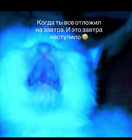 Когдатывсе отложил | наза Иэто завтра. назавтра. И это завтра наступило ®