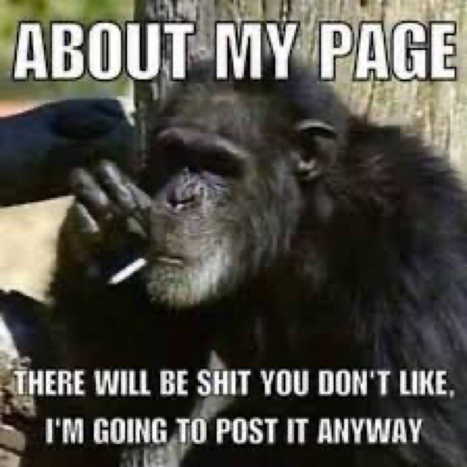 WILL BE SHIT YOU DON'T LIKE, POST IT ANYWAY