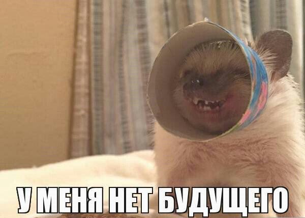 БУДУЩЕГО