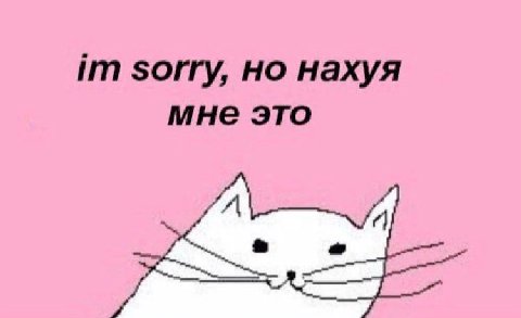 sorry, но нахуя мне это
