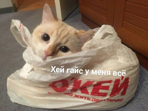 2% Хей гайс у