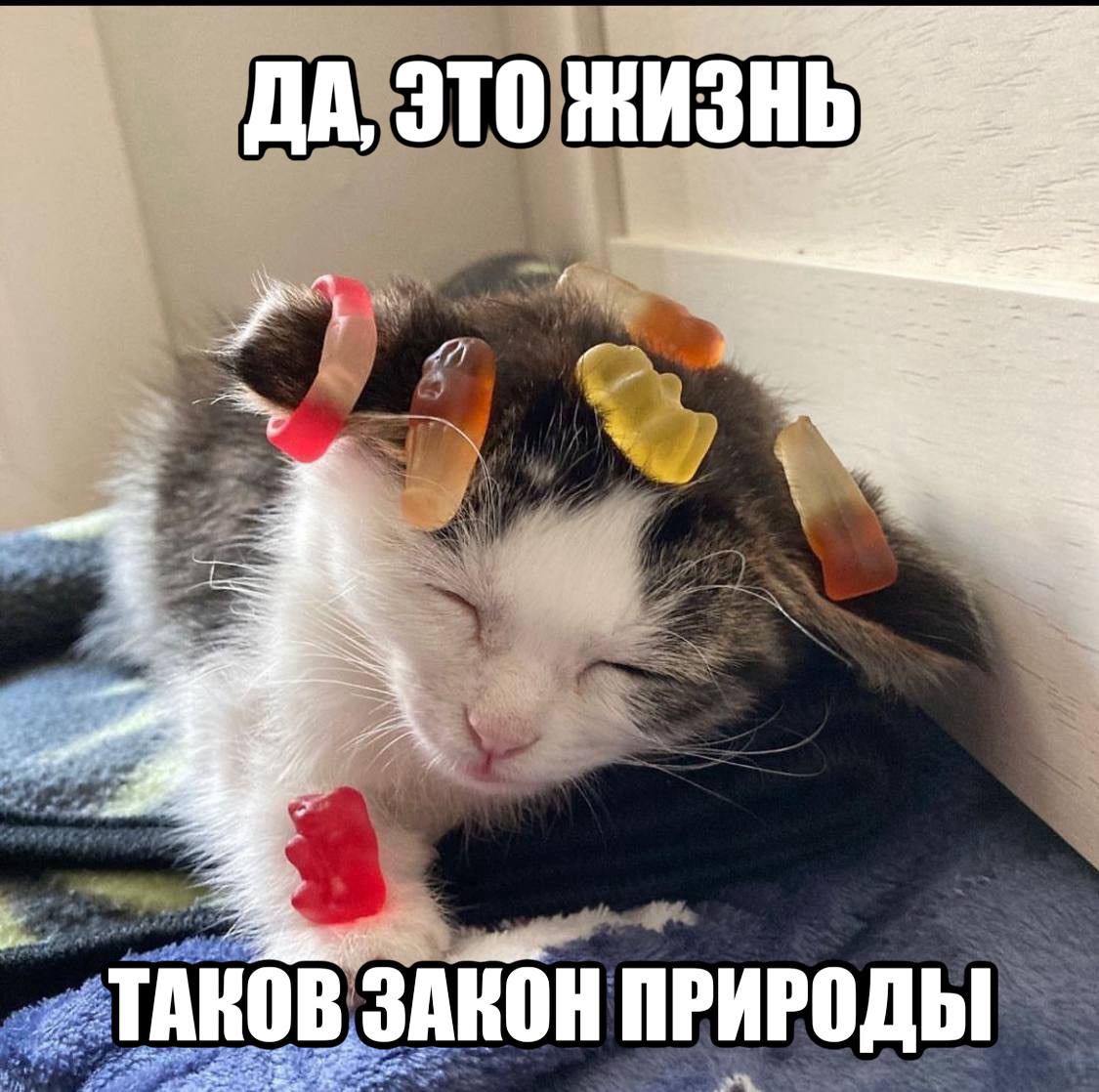 ДА, ЭТО 27 on и ПРИРОДЫ
