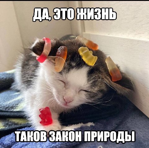 ДА, ЭТО 27 on и ПРИРОДЫ