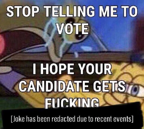 STOP TELLING ME ТО VOTE HOPE YOUR CANDIDATE GETS; FUCKING [Joke has been redacted due to recent