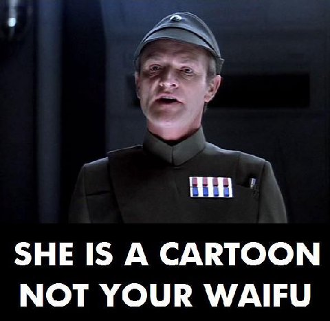 SHE IS A CARTOON NOT YOUR WAIFU