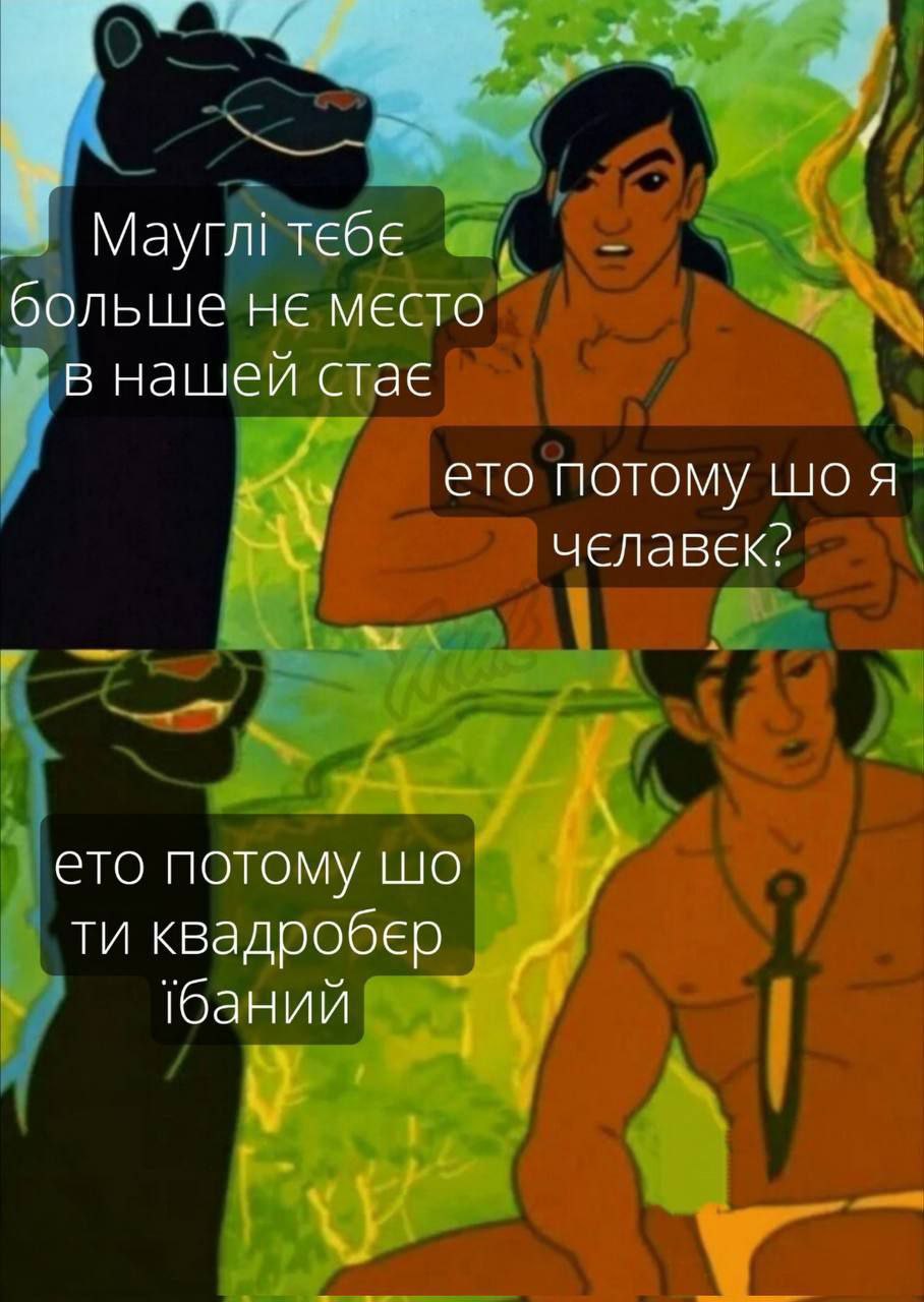 Маугл! тЕбЕ больше HE MECTO в нашей стае ето потому LUO челавек? ето потому квадробЕр 'баний