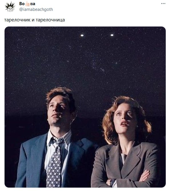 Во @iamabeachgoth тарелочник и тарелочница 4 Lee