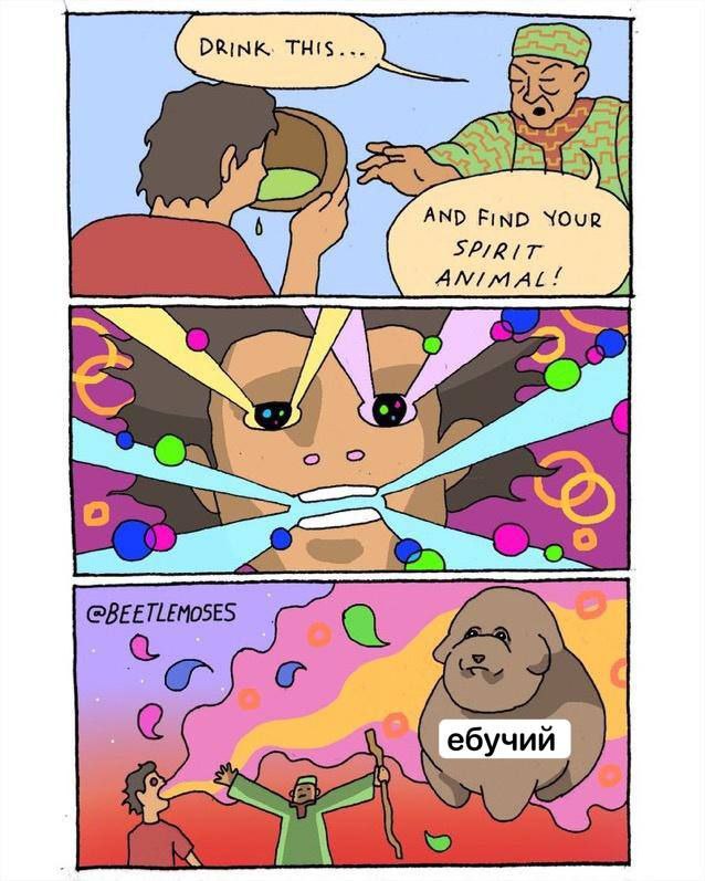 AND FIND ANIMAL! @BEETLEMOSES ебучий