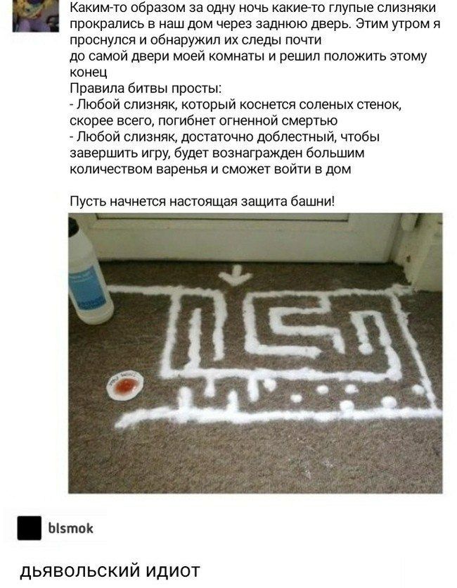 Каким-то образом за одну ночь какие-то глупые слизняки прокрались в наш дом через заднюю дверь. Этим утром я проснулся и обнаружил следы почти до самой двери моей комнаты и решил положить этому конец 