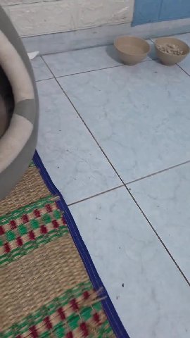 мем