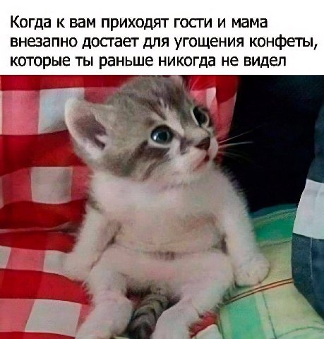 Когда к вам приходят гости и мама внезапно достает для угощения конфеты, которые ты раньше никогда не видел