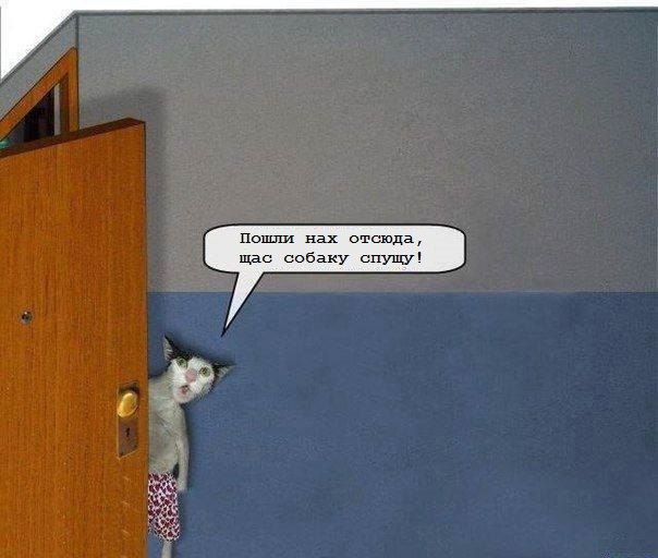 Пошли нах отсюда, шас собаку спущу!