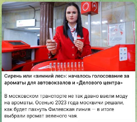 сука МОСКВИЧИ