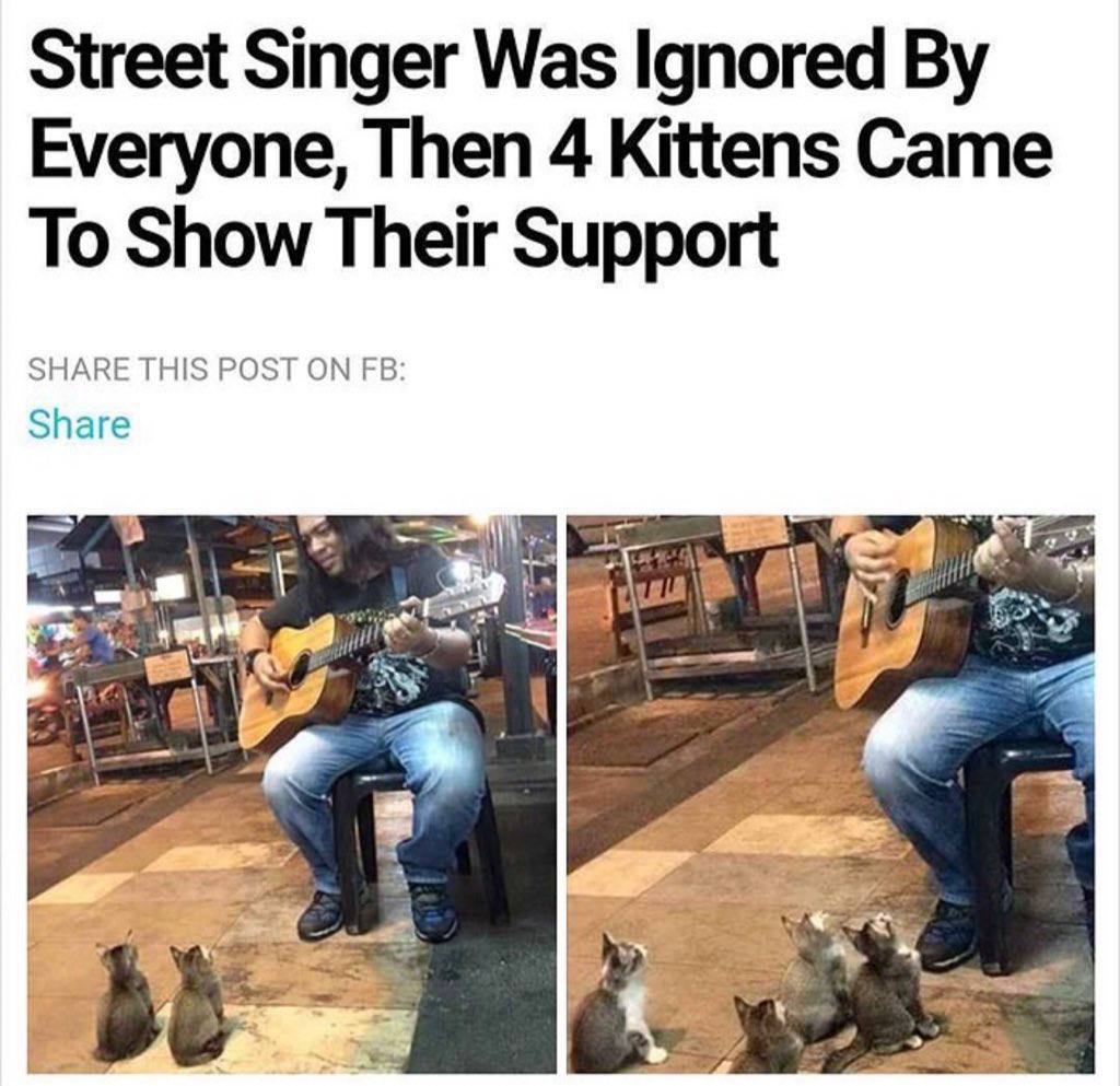 Street Singer Was Ignored Everyone, Then 4 Kittens Came To Show Their Support SHARE THIS POST ON Share bE