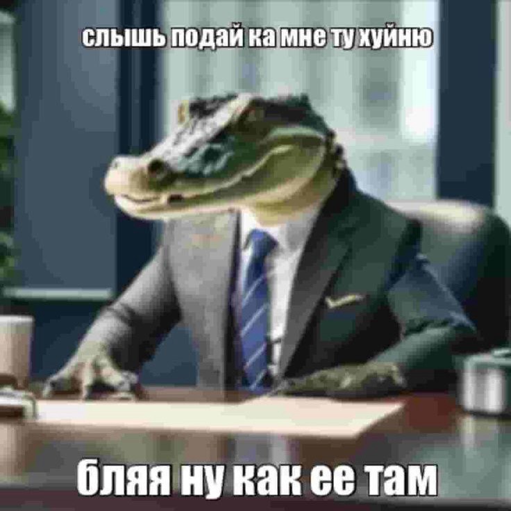 слышь Подай хуйню бляя как ее там