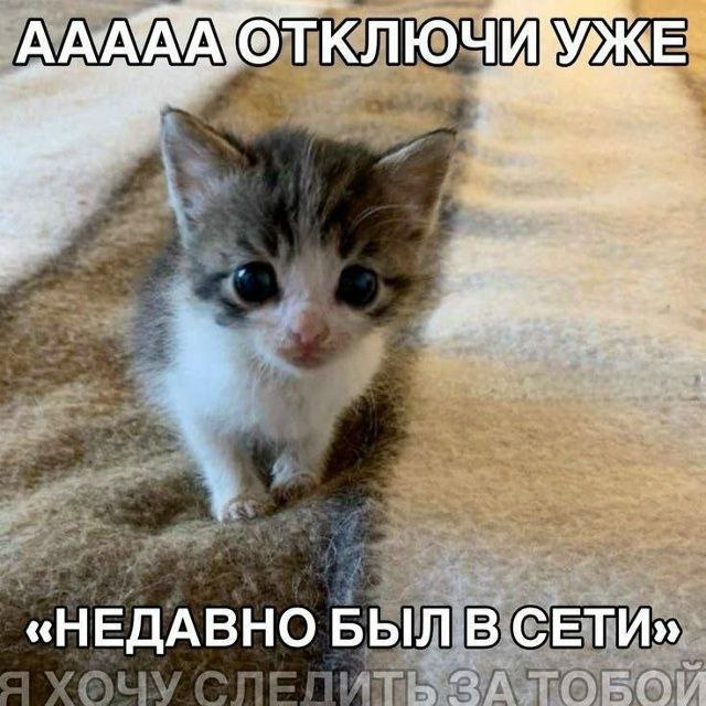 КЛЮЧИМЖЕ: «НЕДАВНО БЫЛ В СЕТИ»