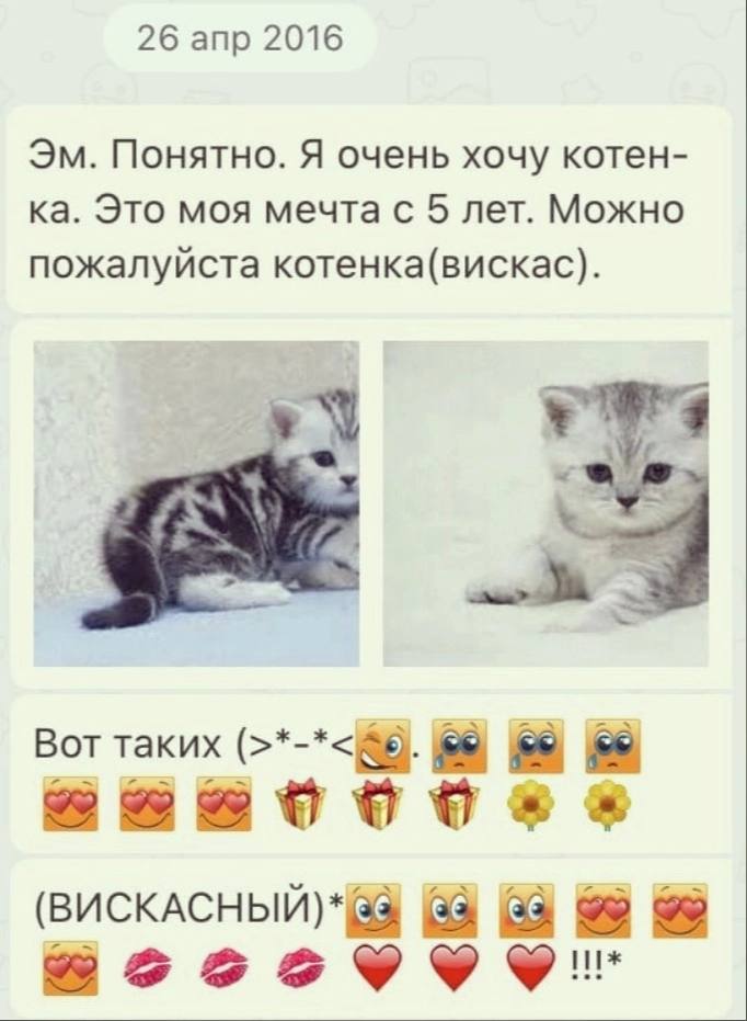 26 апр 2016 Понятно. Я очень хочу котен- Это моя мечта с 5 лет. Можно пожалуйста котенка(вискас). Вот таких 39. 58