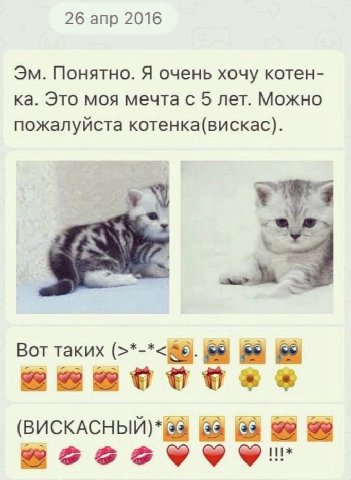26 апр 2016 Понятно. Я очень хочу котен- Это моя мечта с 5 лет. Можно пожалуйста котенка(вискас). Вот таких 39. 58