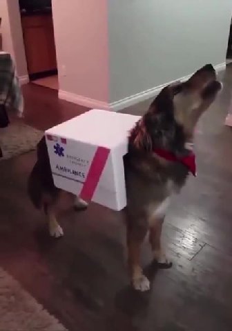 мем