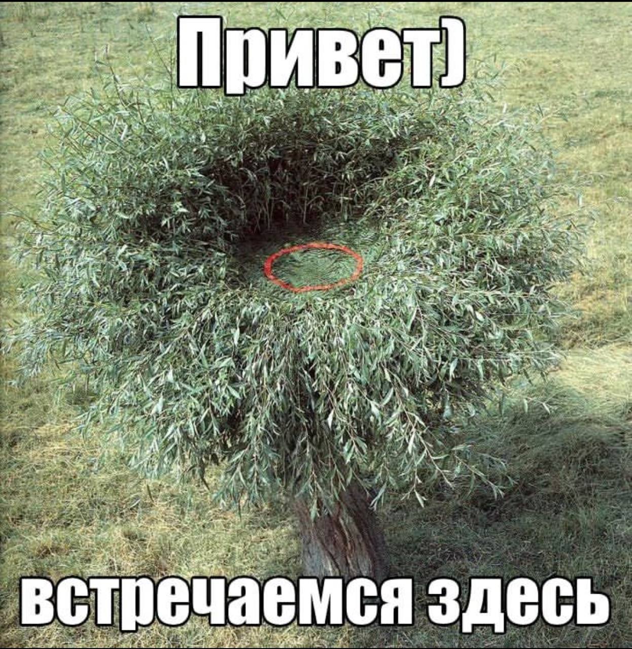 on ‘4 a Many i iN aN “a -А we 4 an AS УСТ 3 7 3 5 А A a емся здесь