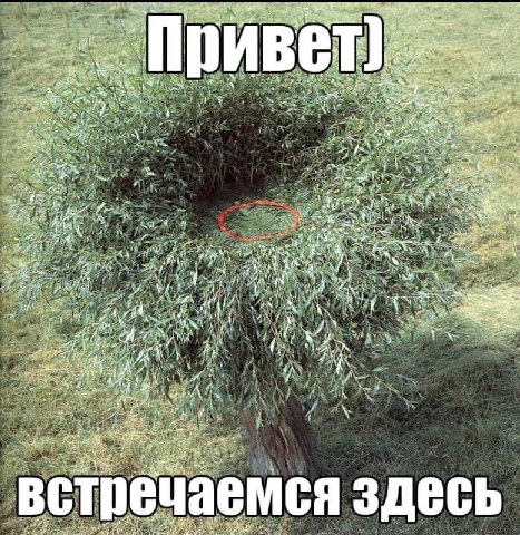 on ‘4 a Many i iN aN “a -А we 4 an AS УСТ 3 7 3 5 А A a емся здесь