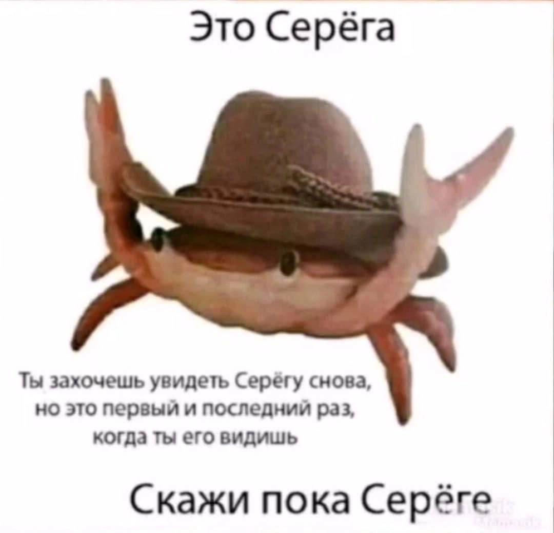 Это Серёга Ты захочешь увидеть Серёгу снова, но это первый и последний раз, когда ты его видишь Скажи пока Серёге