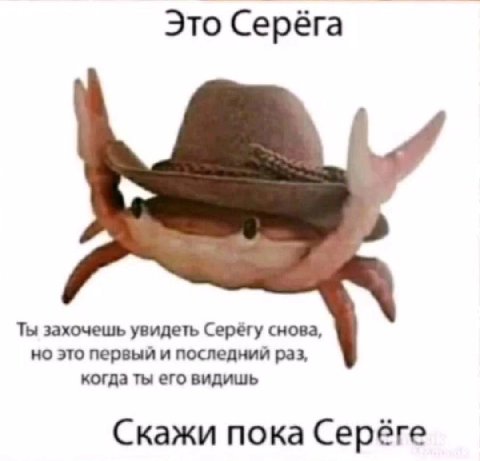 Это Серёга Ты захочешь увидеть Серёгу снова, но это первый и последний раз, когда ты его видишь Скажи пока Серёге