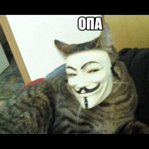 ОПА