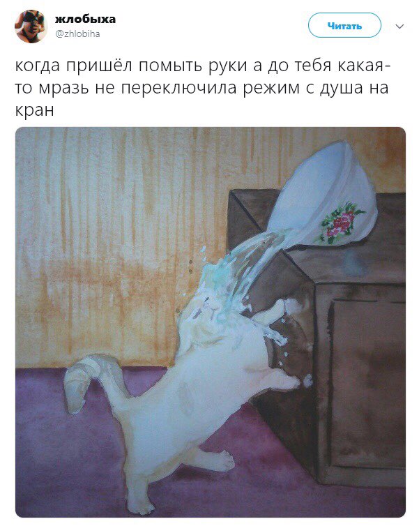 жлобыха и Читать @zhlobiha когда пришёл помыть a до тебя какая- то мразь не переключила режим с душа на кран